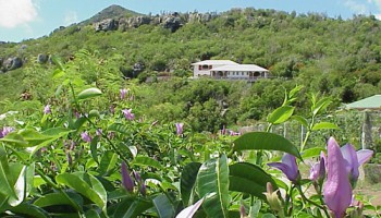 Villa Kyody photo 73
