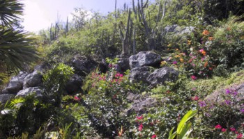 Villa Kyody photo 20